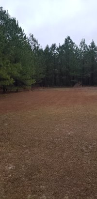 50 x 10 Unpaved Lot in Manning, South Carolina