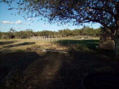 undefined x undefined Unpaved Lot in Mathis, Texas