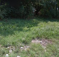 20 x 10 Unpaved Lot in Baltimore, Maryland