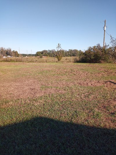 40 x 10 Unpaved Lot in Wesley Chapel, Florida