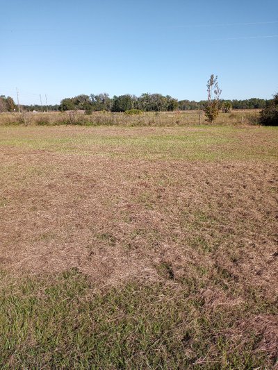 60 x 10 Unpaved Lot in Zephyrhills, Florida near [object Object]