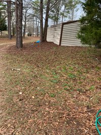 30 x 10 Unpaved Lot in Smiths Station, Alabama