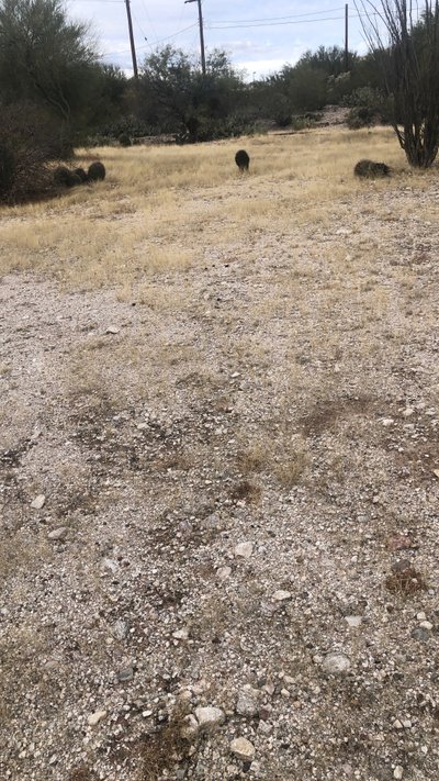 30×14 Unpaved Lot in Tucson, Arizona