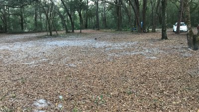 20 x 10 Unpaved Lot in Gainesville, Florida near [object Object]