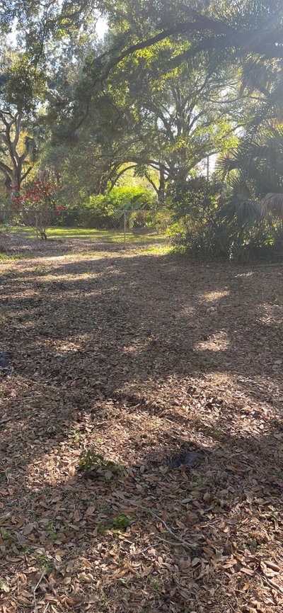 36 x 10 Unpaved Lot in Tampa, Florida