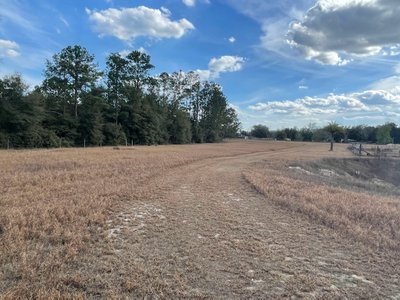 undefined x undefined Unpaved Lot in Eustis, Florida