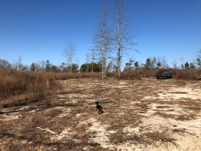 100 x 25 Unpaved Lot in Batesburg-Leesville, South Carolina near [object Object]