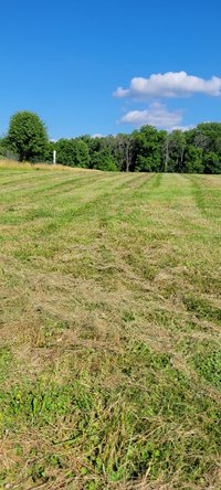 40 x 10 Unpaved Lot in , Maryland