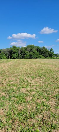 40 x 10 Unpaved Lot in , Maryland