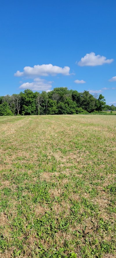 50 x 50 Unpaved Lot in , Maryland