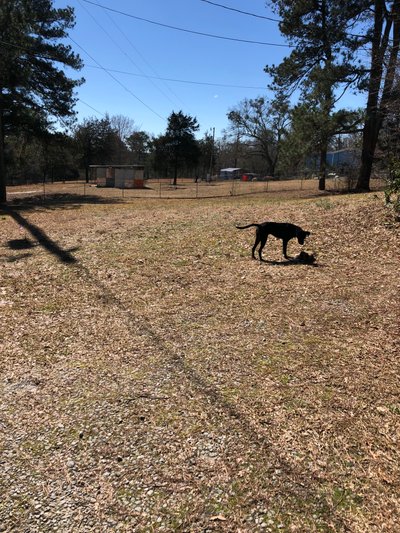 20 x 10 Unpaved Lot in Conyers, Georgia near [object Object]
