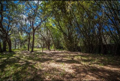 50 x 10 Unpaved Lot in Orlando, Florida near [object Object]