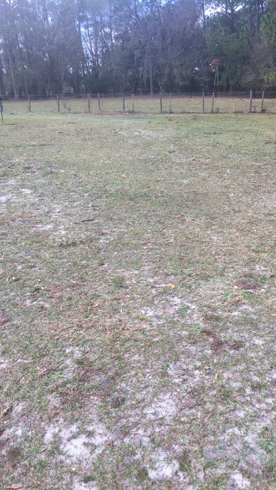 undefined x undefined Unpaved Lot in Lakeland, Florida