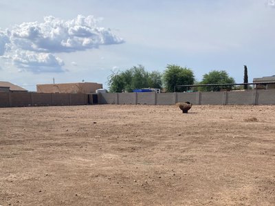 user review of 50 x 10 Unpaved Lot in Peoria, Arizona