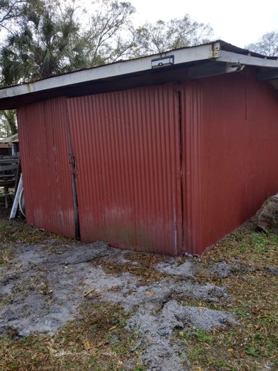 16 x 8 Shed in Tampa, Florida