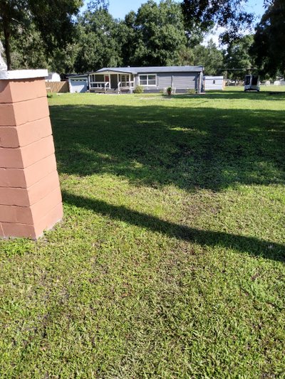 22 x 20 Unpaved Lot in Tampa, Florida