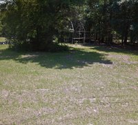 20 x 10 Unpaved Lot in Sorrento, Florida