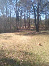 100 x 100 Unpaved Lot in Griffin, Georgia
