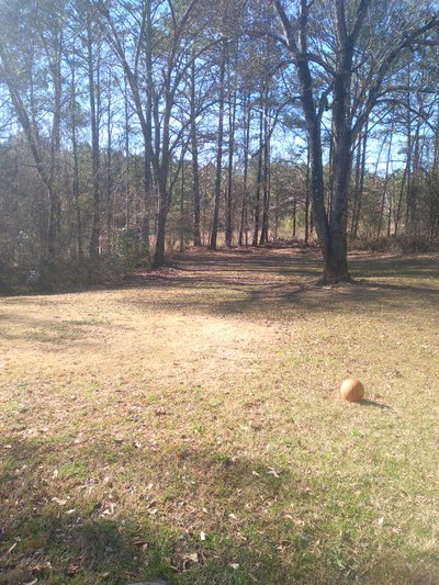 undefined x undefined Unpaved Lot in Griffin, Georgia