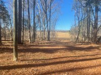 10 x 30 Unpaved Lot in Moseley, Virginia