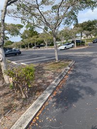15 x 10 Parking Lot in West Palm Beach, Florida