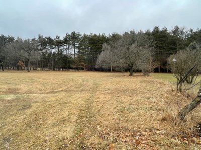 Large 10×40 Unpaved Lot in Rio, Wisconsin
