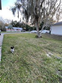 50 x 25 Unpaved Lot in Green Cove Springs, Florida