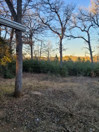 30 x 10 Unpaved Lot in Smithville, Texas