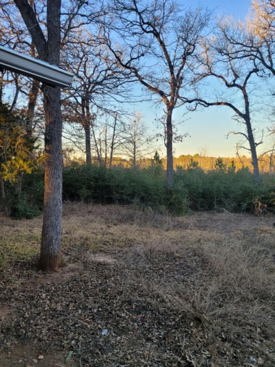 30 x 10 Lot in Smithville, Texas