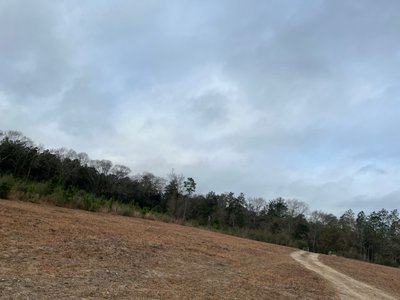 300 x 285 Unpaved Lot in Citronelle, Alabama near [object Object]