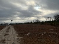 300 x 285 Unpaved Lot in Citronelle, Alabama