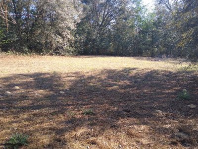 20 x 10 Unpaved Lot in Bronson, Florida near [object Object]