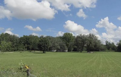 undefined x undefined Unpaved Lot in Wellborn, Florida