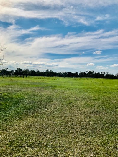 40 x 10 Unpaved Lot in St. Cloud, Florida