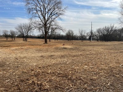 50 x 14 Unpaved Lot in Frisco, Texas