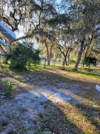 29 x 29 Unpaved Lot in St. Cloud, Florida