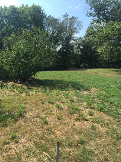 undefined x undefined Unpaved Lot in Sutersville, Pennsylvania