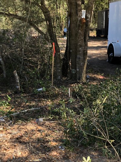 30 x 10 Unpaved Lot in Interlachen, Florida near [object Object]