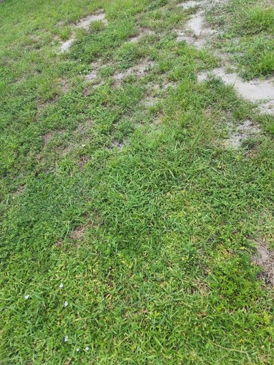 23 x 10 Unpaved Lot in Fort Lauderdale, Florida near [object Object]