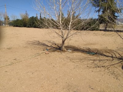 500 x 500 Unpaved Lot in Golden Valley, Arizona near [object Object]