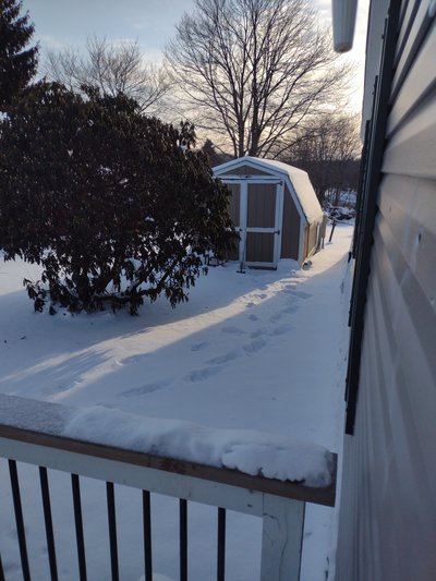 14 x 8 Shed in Butler, Pennsylvania