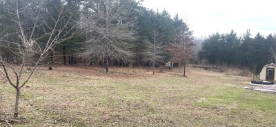 20 x 20 Unpaved Lot in Conway, Arkansas