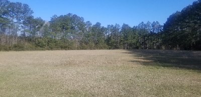 20 x 20 Unpaved Lot in Jamestown, South Carolina near [object Object]