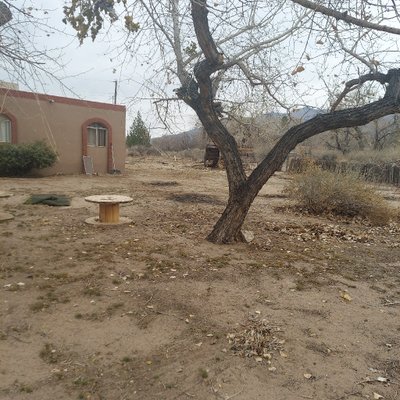 50 x 20 Lot in Corrales, New Mexico