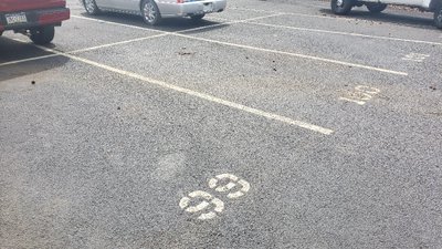 20 x 10 Parking Lot in Springfield, Pennsylvania