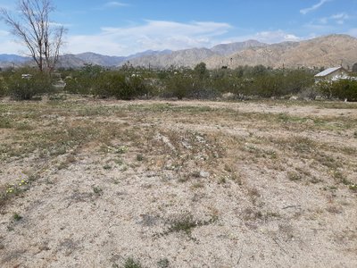 15 x 40 Unpaved Lot in Morongo Valley, California