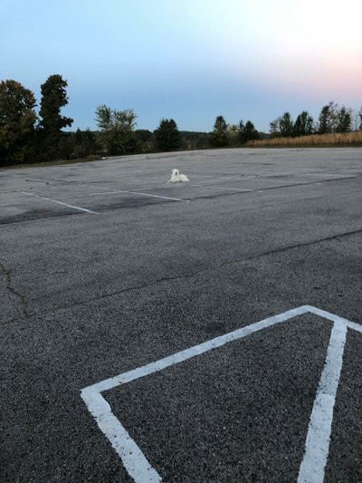 20 x 40 Parking Lot in Georgetown, Indiana near [object Object]