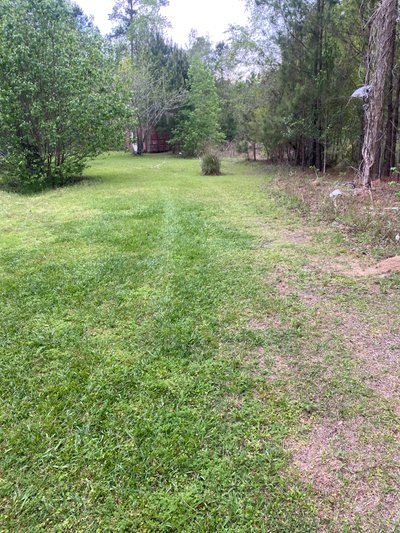 undefined x undefined Unpaved Lot in Fleming, Georgia