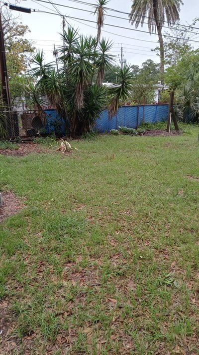 30 x 15 Unpaved Lot in Seminole, Florida