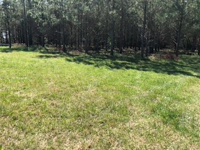 user review of 40 x 15 Unpaved Lot in Lancaster, South Carolina